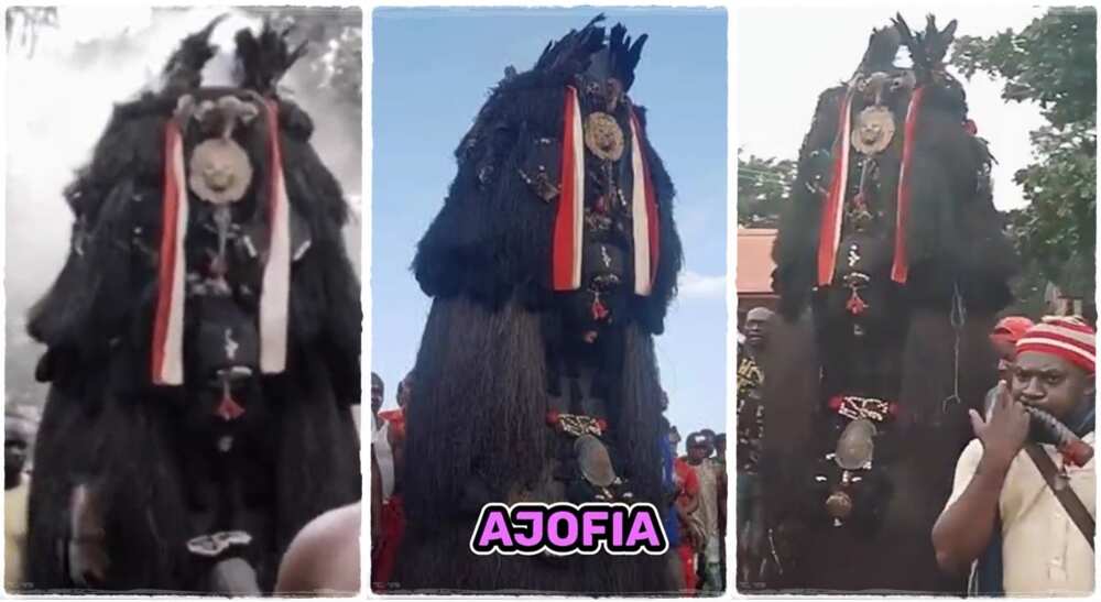 Nigerian masquerade called Ajofia.