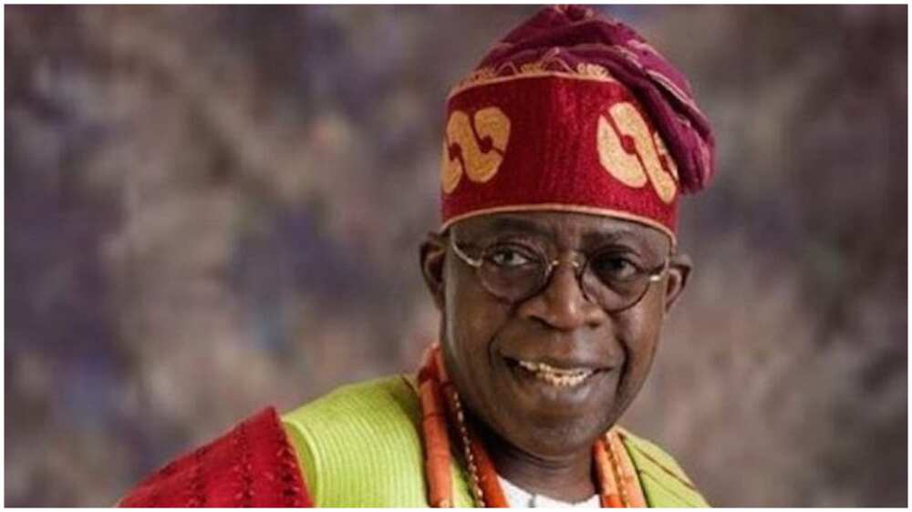 List of Nigerians canvassing support for Tinubu ahead of 2023