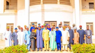 Is Tinubu southwest leader of APC and PDP? Photo of national leader with members sparks reactions