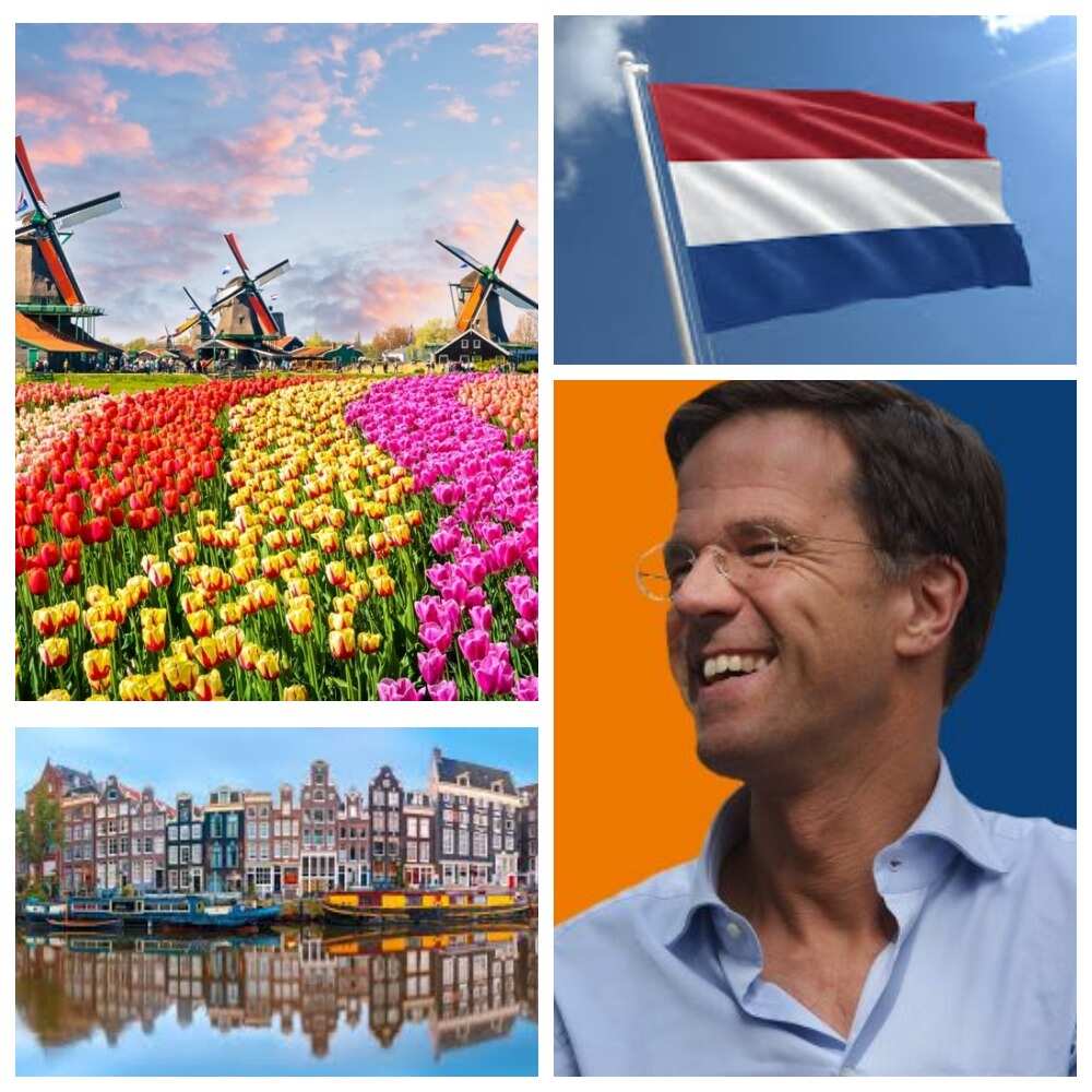 The Netherlands and Mark Rutte