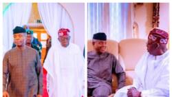 New photos from villa ministerial retreat show Osinbajo, Tinubu in private meeting