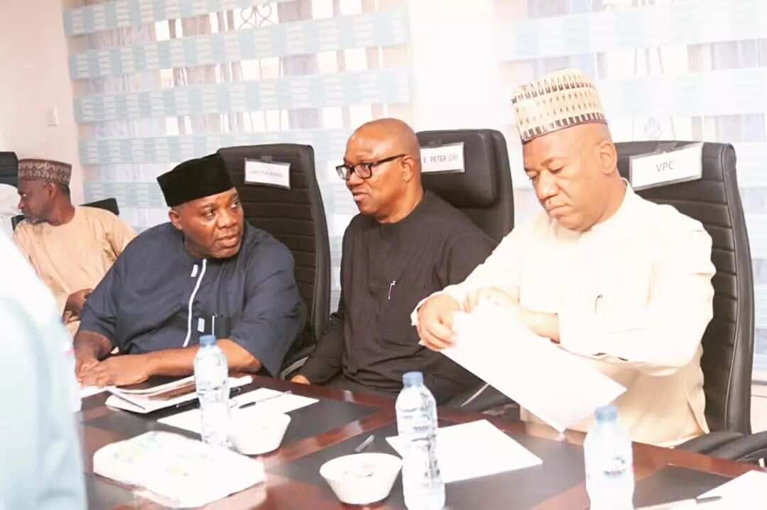 Full list: Labour Party finally releases Peter Obi's presidential campaign council