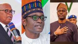 Names of governors-elect from PDP, APC and other political parties