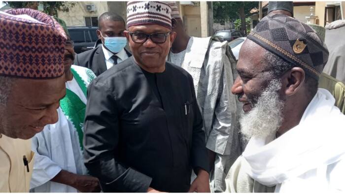 “You brought yourself low”, “He’s being strategic”: Obi’s supporters divided over visit to Gumi