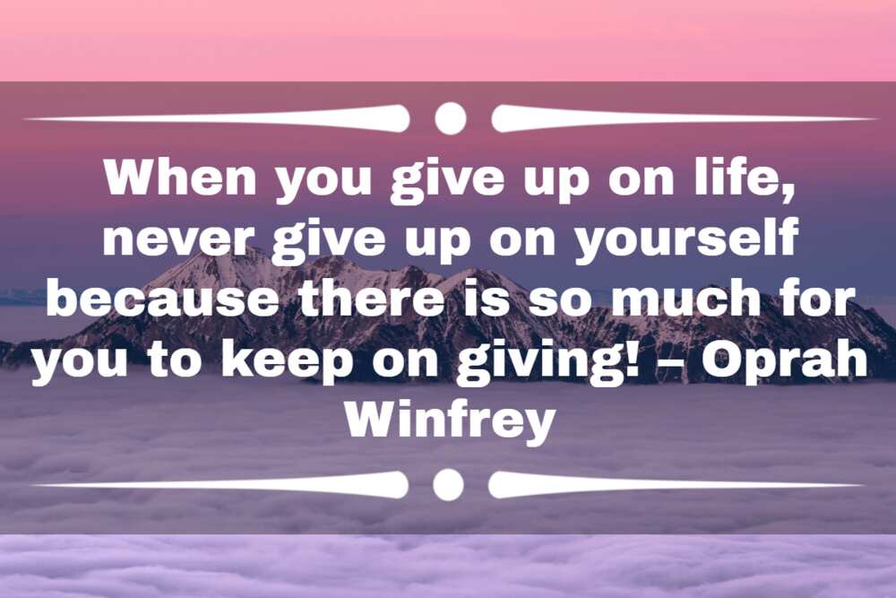 just give up quotes