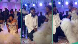 "This happened": Drama as man shares rare video from Ekene's wedding after Moses Bliss' incident