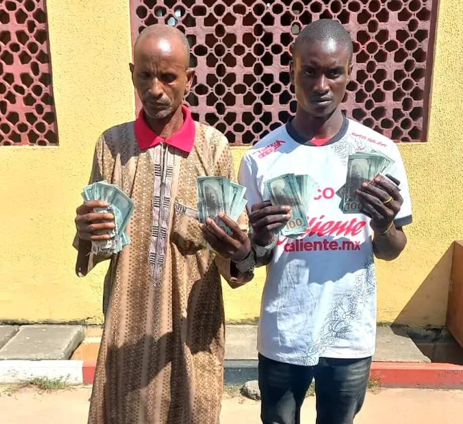 Fake dollars men arrested