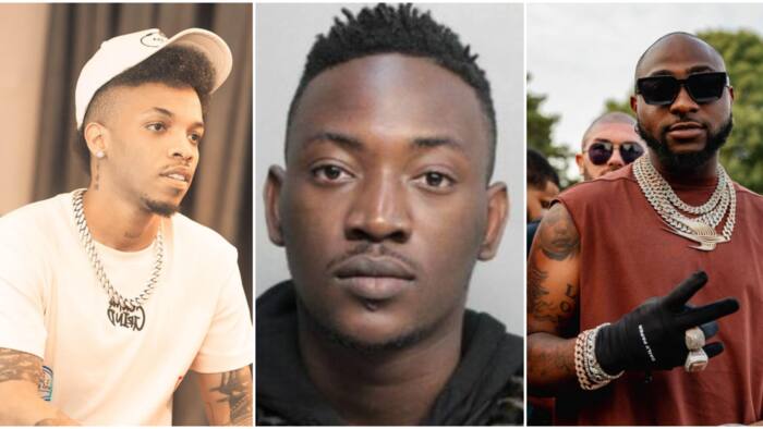 "Emotional damage": Reactions as Tekno shades Dammy Krane for calling out Davido over unpaid debt