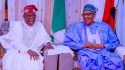 Presidency speaks on Buhari’s alleged plan not to hand over to Tinubu on May 29
