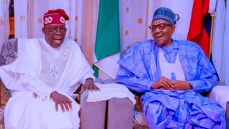 BREAKING: Presidency speaks on Buhari’s alleged plan not to hand over to Tinubu on May 29