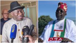 2023 Presidency: Road clears for Tinubu as Jonathan's kinsmen endorse APC candidate