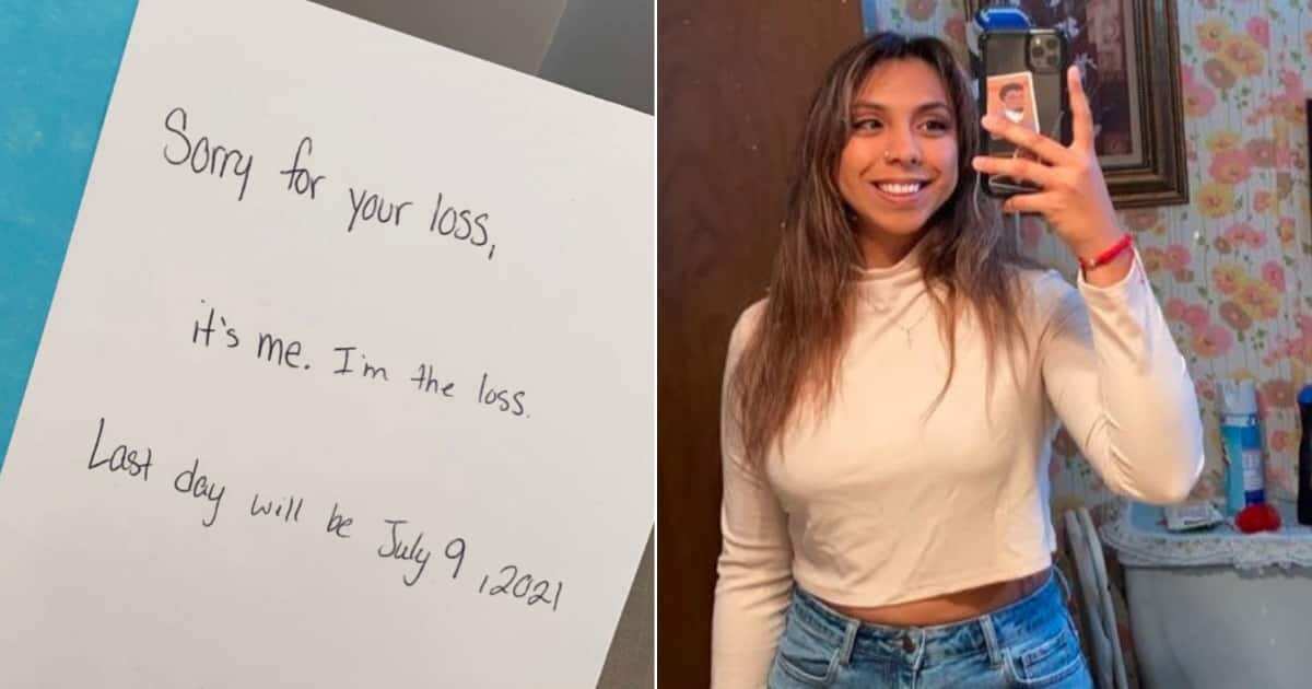 Woman Writes Funny Resignation Letter Tells Her Boss Sorry As She Quits Job Many React Legit Ng