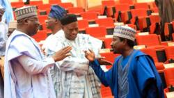 Senate presidency: Stakeholders dismiss reports of northern aspirants withdrawing from race