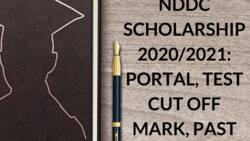 All you need to know about NDDC scholarship 2022/2023: Portal, past questions