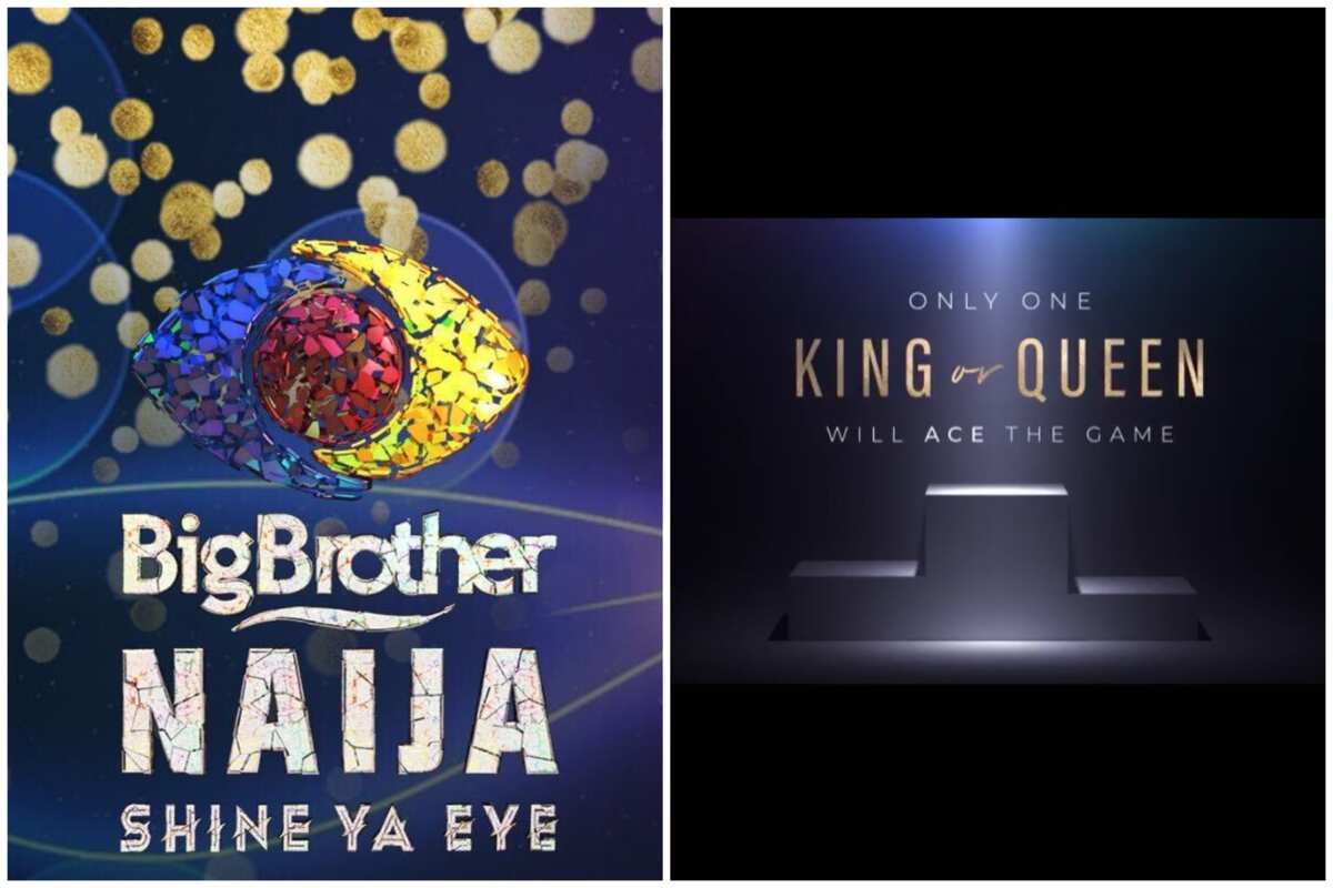 Big brother nigeria sale 2019 live stream