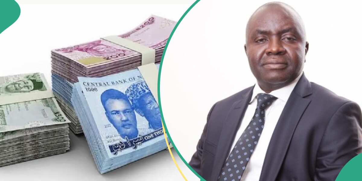 Expert reveals condition for naira to stabilise against dollar