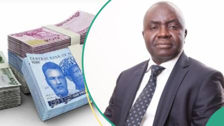Expert speaks on solutions to naira volatility as local currency loses ground to dollar