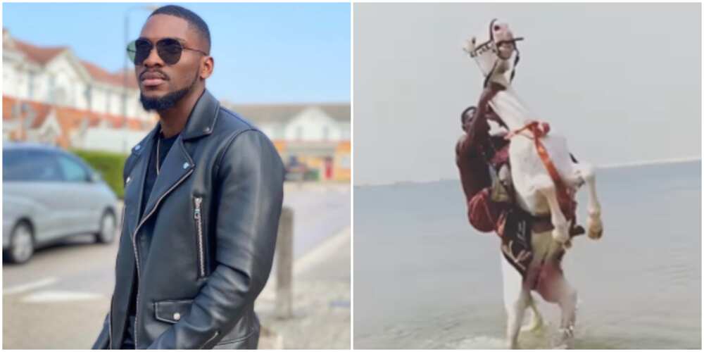 Tobi Bakre falls off horse