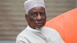 Dattijon Arewa Mai Karfin Fada A Ji Ya Bukaci Yan Najeriya Su Yi Watsi Da Kiran Sarkin Daura Kan Zaben 2023