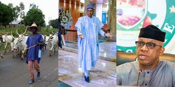 We’ll protect ourselves if, anxiety as monarch writes Buhari over attack by herdsmen