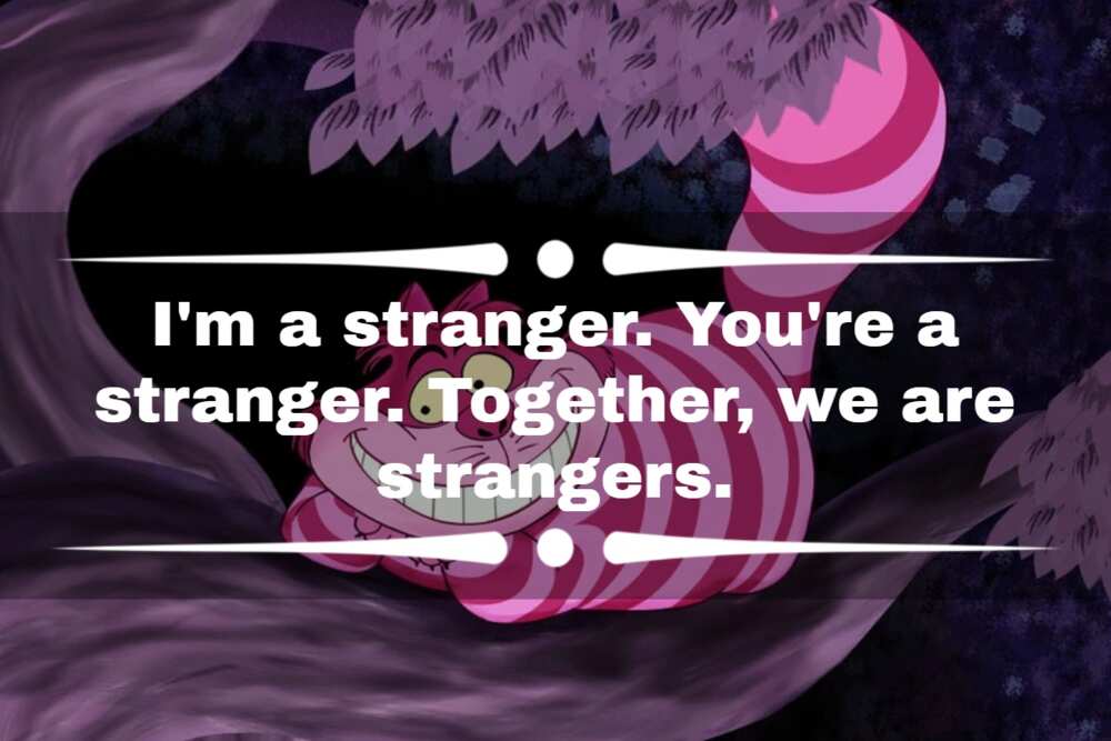 cheshire cat quotes cheshire cat quotes