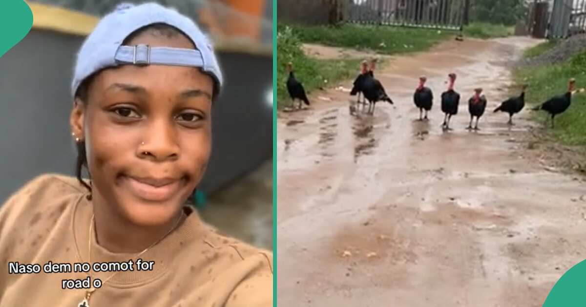 This lady was going somewhere, what she saw on the road will surprise you