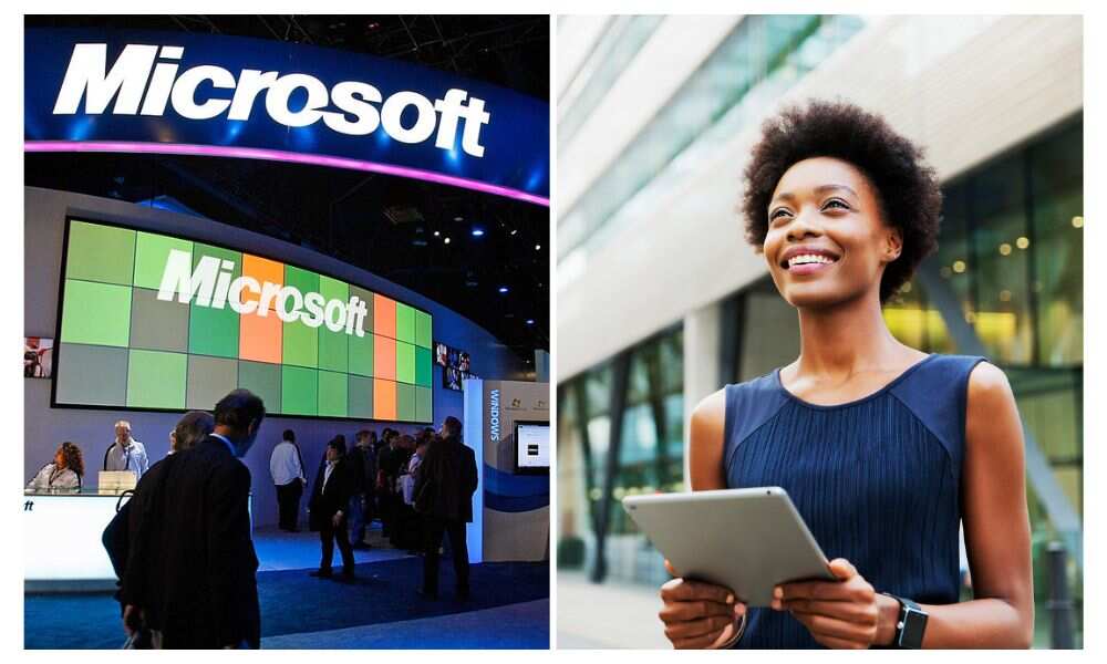 Microsoft, Job opportunities