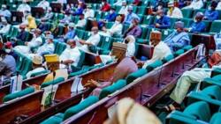 Nigeria is COVID-19 free, house of representative member tells speaker