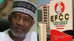 EFCC arrests ex-minister Hadi Sirika’s brother in N8bn aviation ministry investigation