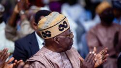 List of APC chieftains, others that dislike Bola Tinubu released by former governor