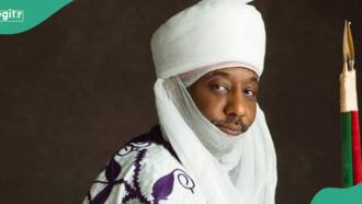 Kano emirate tussle: Big win for Emir Sanusi as district heads pledge loyalty