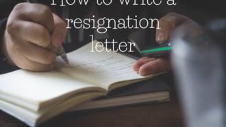 how to write application letter as a primary school teacher