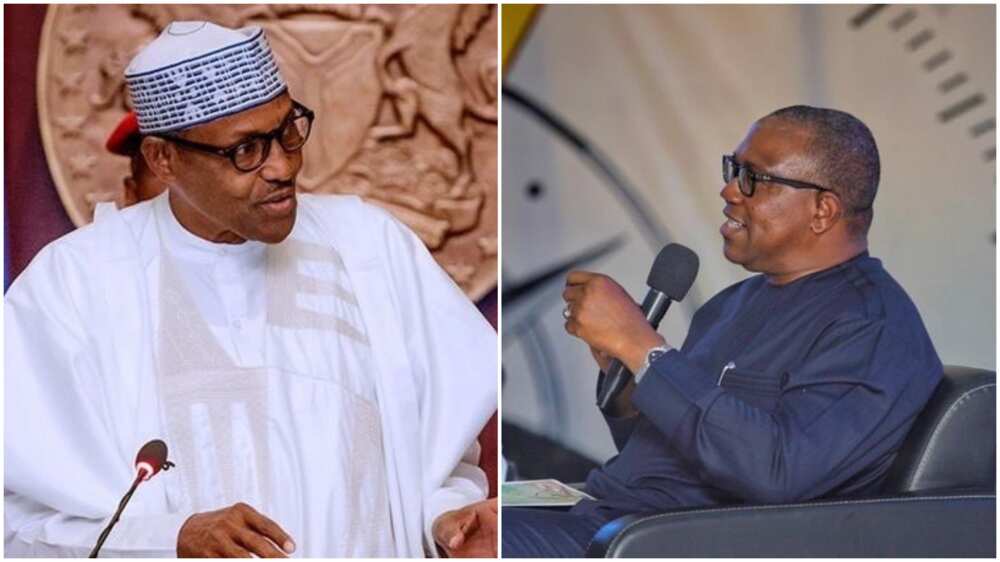 Coronavirus: I support Buhari's order to import Madagascar's COVID-19 herb - Peter Obi