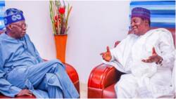 Why ex-Gov Lalong agreed to be Tinubu’s campaign DG, Dati makes surprising revelation