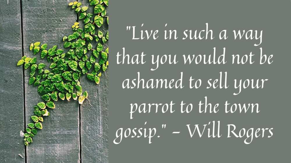 Will Rogers quotes Will Rogers quotes