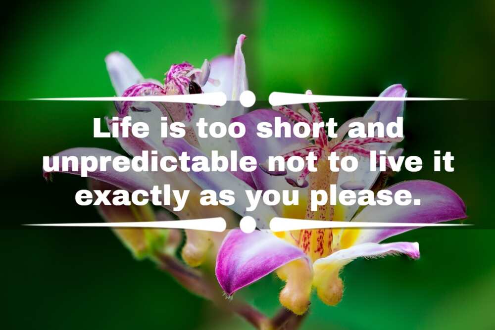 Life is short make it sweet quotes