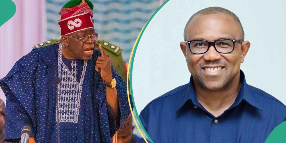 Tribunal/Latest about Bola Tinubu/Peter Obi news