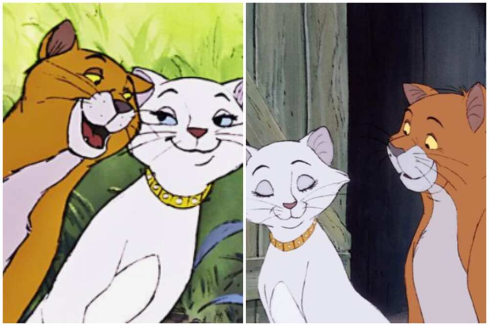 Popular cartoon couples Popular cartoon couples
