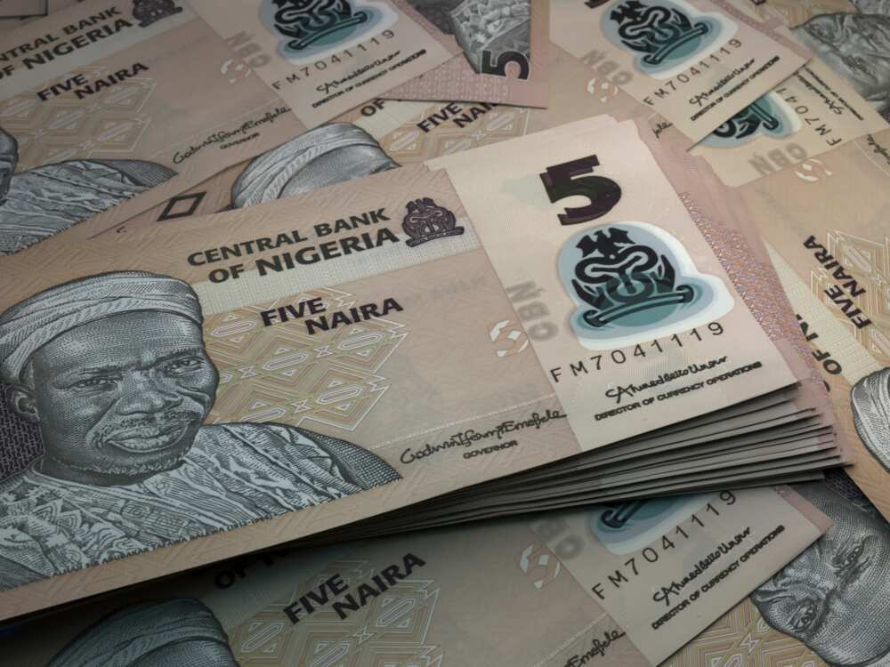 Nigerian currency notes Nigerian currency notes