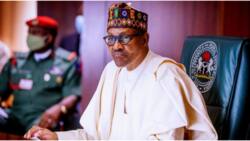BREAKING: Femi Adesina finally opens up on Buhari’s 8-month sickness, makes stunning revelation
