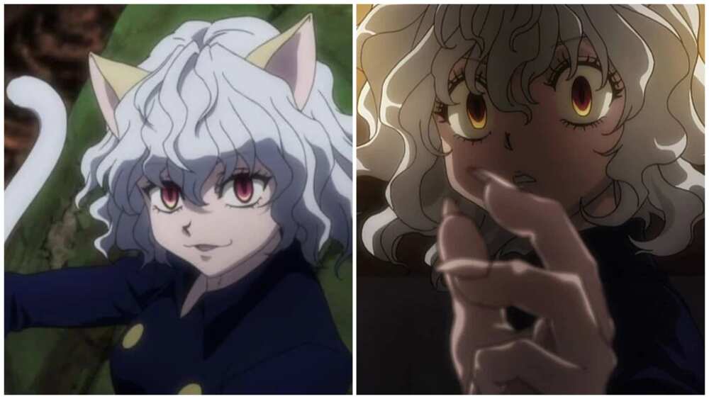 Daily White Haired Charas on X: The white haired boy of the day