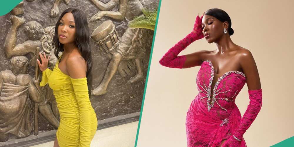 Vee rocks colourful outfits