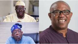 Heavy blow for APC, Tinubu as Afenifere Leader reveals final position on preferred presidential candidate