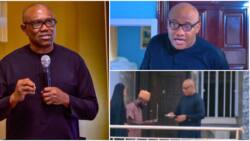 "This is not funny": Outrage as Yul Edochie mimics Peter Obi's voice in film about presidential candidate