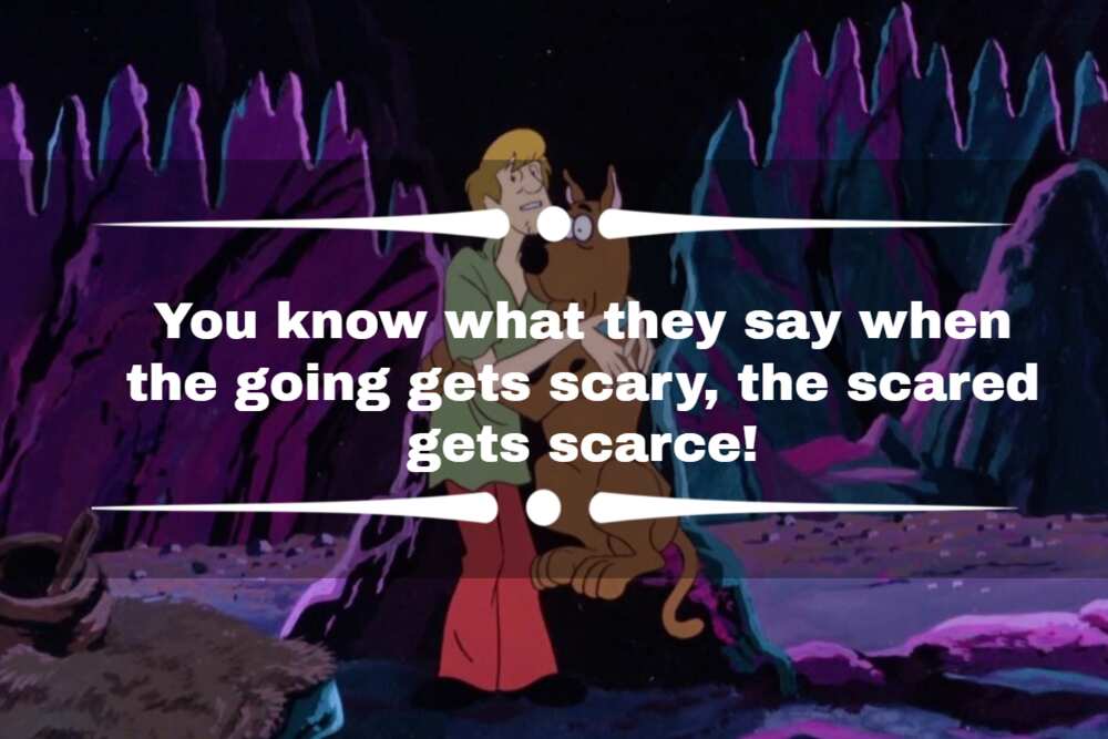 scooby doo sayings