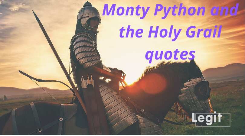 20 Best Monty Python And The Holy Grail Quotes Everyone Remembers Legit Ng