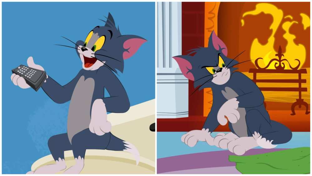 silly cartoon characters silly cartoon characters