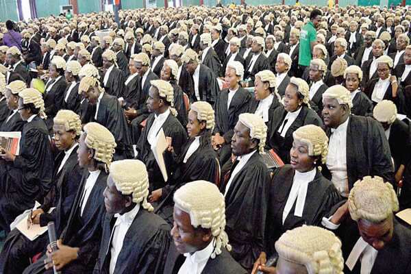 Nigerian lawyers