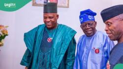 Tribunal’s judgement: “Great victory for Nigeria”, Osinbajo congratulates Tinubu, Shettima