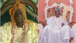 Ogunsua: Former minister Adesiyan mourns as prominent Yoruba monarch dies at 95